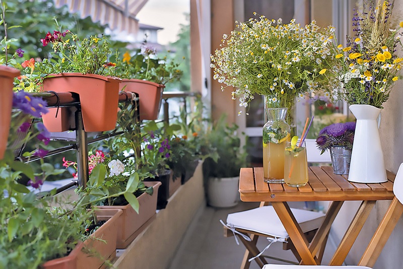 ExpertenRat Naturnahe Balkone